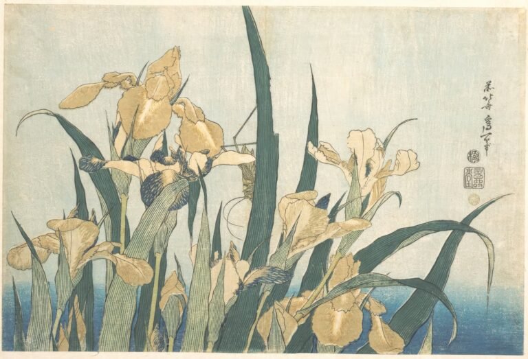 Iris-Blossoms-JAHD-G10